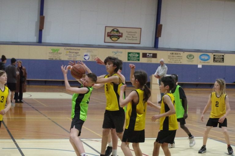 Basketballers hit the court
