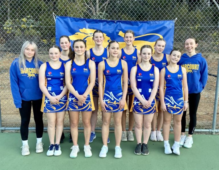 Lions netballers ready to pounce