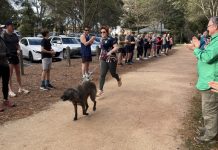 Perfect weather for Parkrun