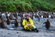 South with the Seabirds