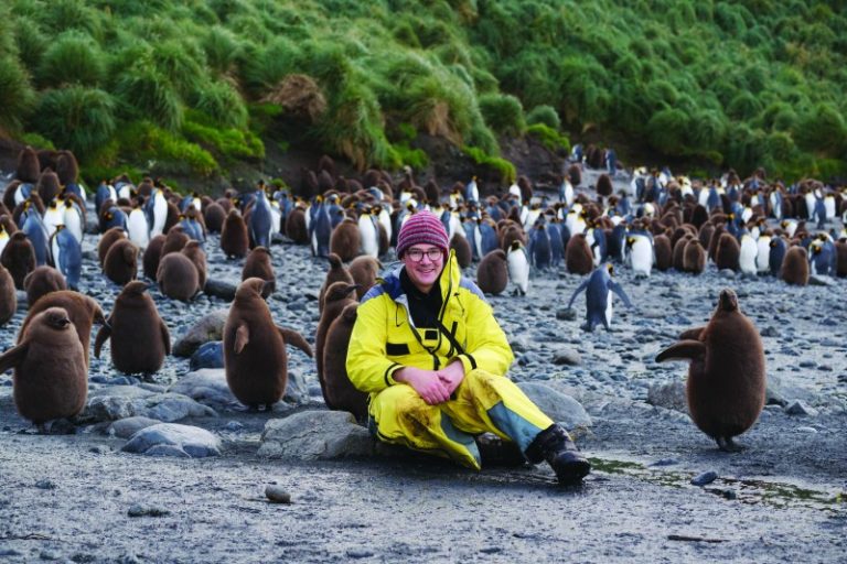 South with the Seabirds