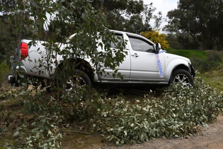 Ute crash