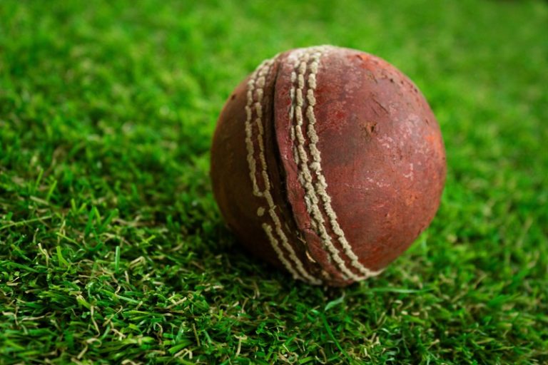 Cricket umpires needed!