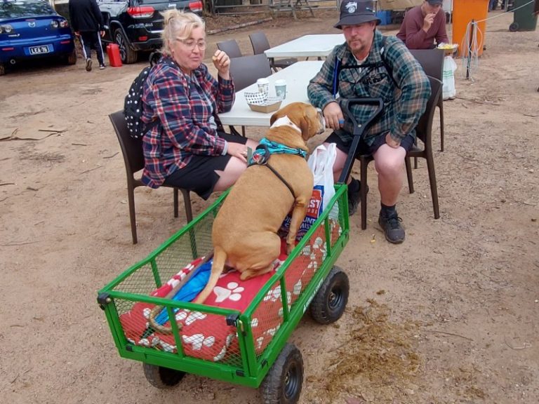 For the lovers of swap meets