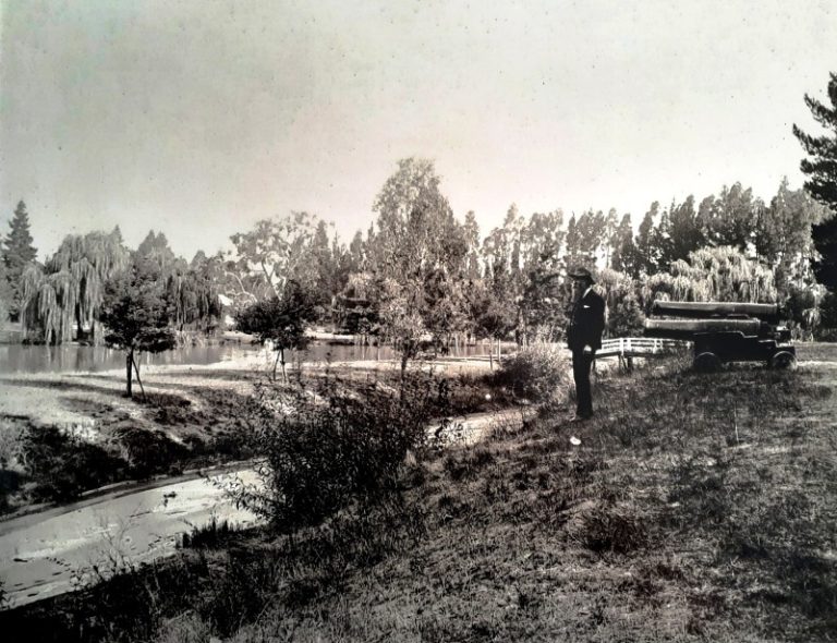 Let’s take a look back at Castlemaine Botanical Gardens