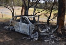 Lucky escape for driver