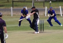 Tons of action in CDCA