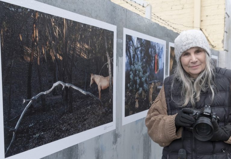 Local exhibition at Mechanics Lane