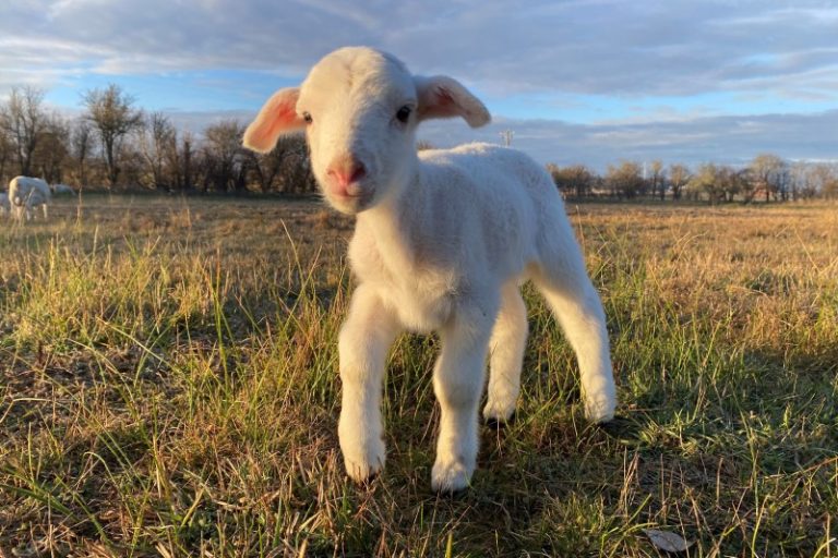 Photo comp celebrates farming