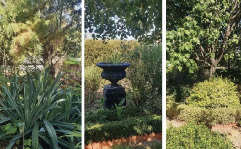 Festival of Gardens