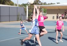 CDNA Twilight season wraps up