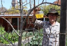 Willis call sit a day