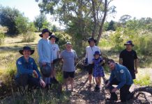 A monster celebration