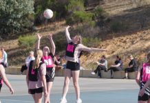 Top sports stories from November 2024