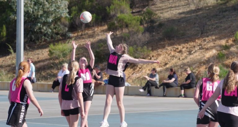 Top sports stories from November 2024