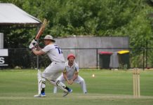 Cricket action ramps up