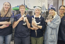 Vet clinic provides vital community support