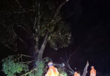 Volunteers brave the storms