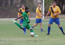 Goldfields field record numbers!