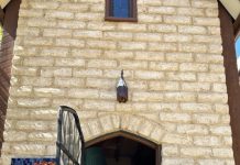 My Campbells Creek with Brian McCormick