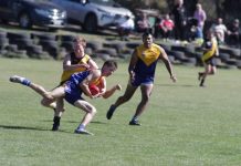 MCDFNL kicks off 2025 season