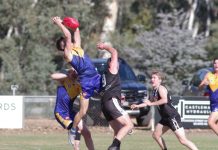 Mixed fortunes in MCDFNL