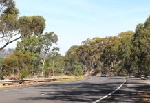 Have your say on speed limit