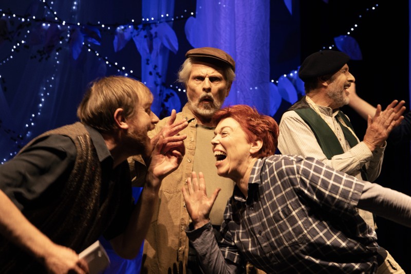 Digby Brandenberg, John Willis, Georgie Heydon and Peter Waltham perform in A Midsummer Night's Dream. Photo: Stephen Mitchell.