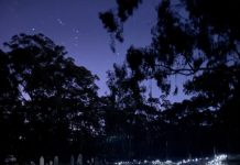 Honouring little lives lost