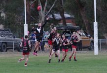 Creekers show grit against premiership contenders
