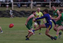 Challenging encounters for Lions