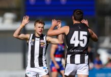 Magpies return to the Camp