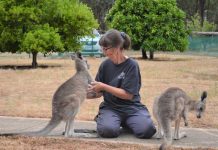 Red Box welcomes volunteers