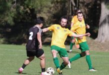 Positive start for Goldfields
