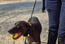 Missing person located