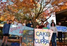 Castlemaine Steiner School Fair returns