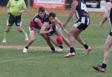 Magpies valiant against the Dragons