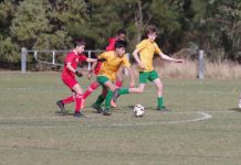 Soccer stars shine at Chewton