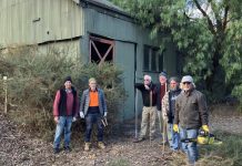 Action at Wattle Gully