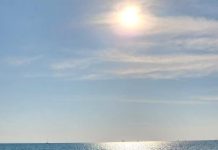 Dave’s done it again!