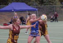 Lions roar over Hawks