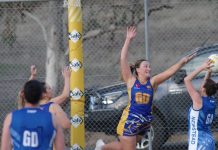 Lions footballers and Roo netballers dominate