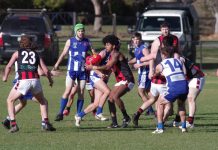 Maldon wins a thriller