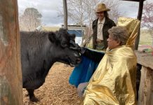 Kamahl goes bananas for Seamus