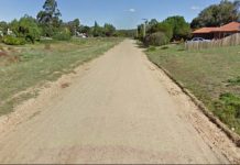 New speed limit for Farran Street? Council will seek permission to lower the speed limit in Farran Street.