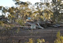 Homes or habitat: Does it need to be a choice between one or the other?