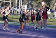 Strong performances by Donners