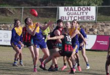 Dons enjoy competitive hit out against the Lions