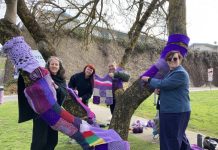 Purple pride blooms in the shire