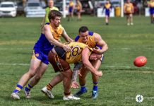 Harcourt, Maldon bow out of finals